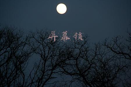 屏幕锁忘了怎么解开(iPad密码忘记了怎么办？解锁详细步骤)