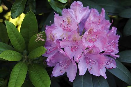 发邮件格式范文(发邮件的格式是什么？)