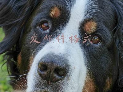 发邮件格式不对是因为什么(细节见真知——职场小白的邮件书写规范)