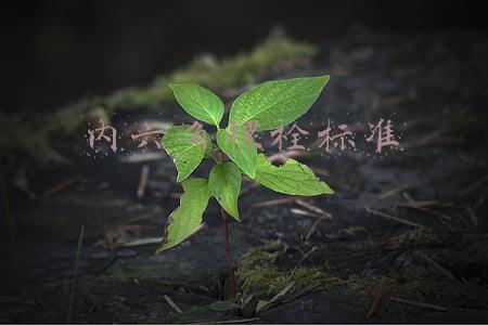 内六角螺栓标准