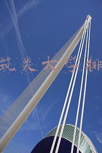 建筑类大学排名