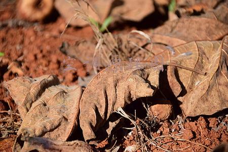 水机空调原理图(水机VS氟机，一点儿都不了解，你根本无法选择)