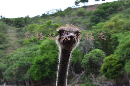 苏格拉底柏拉图与亚里士多德都认为制度可以改变人(古希腊哲学：他们给出的并非都是正确的答案，但总能提出正确的问题)