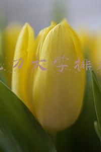 电力大学排名