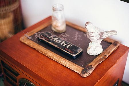 人死了会去哪里还会遇见亲人吗(人死后到阴间有亲人吗？他们会团聚吗？科学家早就解开谜底了)