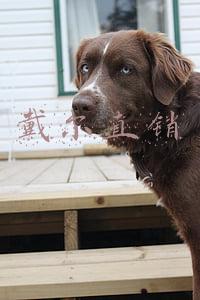 戴尔直销实质就是(直销商业模式优势这么多？SMB这回有福了)