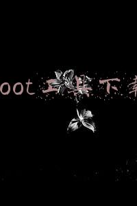 root工具下载