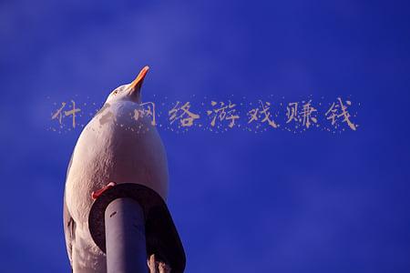 什么网络游戏赚钱