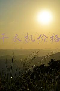 干衣机价格