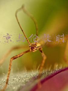 北京与伦敦时差