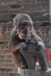 中国行政区划改革