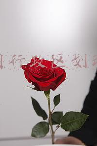 中国行政区划改革