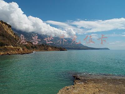 魔兽世界充值卡收藏什么卡最贵(魔兽世界怀旧服：拍卖行里最贵的宠物宝宝，比黑龙宝宝贵十倍有余)