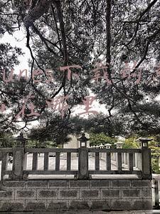 itunes下载的东西在哪里