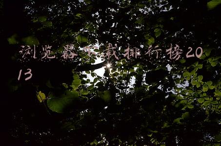 浏览器下载排行榜2013