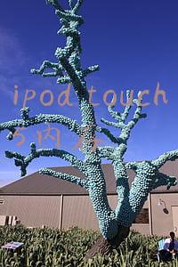 ipod touch5和iphone5(数亿果粉们，你们知道iphone的来历及起源么？了解多少？)