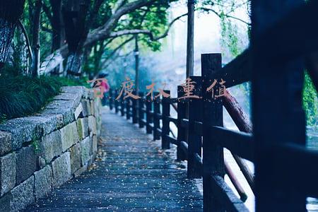 百度权重值