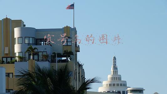 寒号鸟的图片 动物(寒号鸟不是鸟？它是一种鼠类，而且便便可以入药)