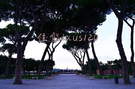 佳能ixus120