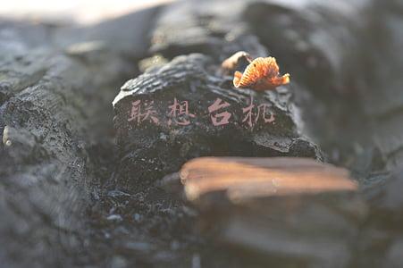 联想台机