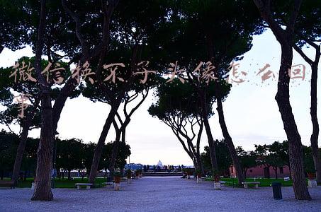微信换不了头像怎么办(微信不能换头像了，对于这三类人的影响... ..)