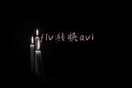 flv转换avi