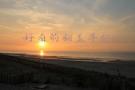 好看的翻盖手机