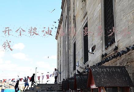 开粮油店需要什么,开一家粮油店需要办理什么手续