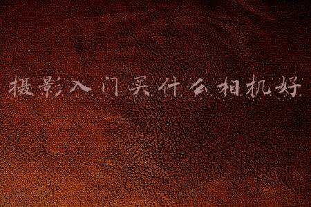 入门相机推荐(最适合摄影初学者的3款相机：操作简单，支持4K拍摄，价格厚道)