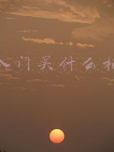 入门相机(摄影新手如何买相机？2022年，如何买到最合适你的相机)