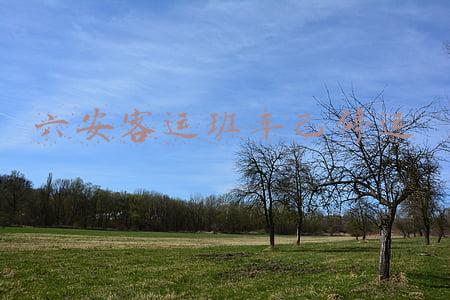 六安汽车客运北站(六安市客运站发布7月28日停运班线)