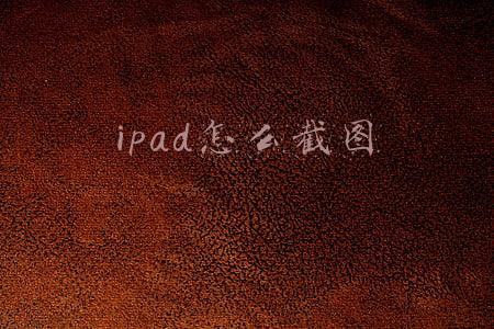 ipad怎么截图