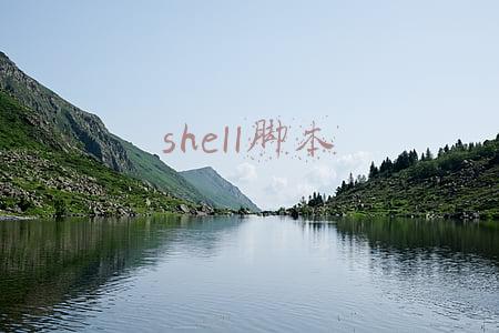 shell脚本