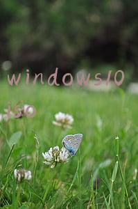 windows10 iso