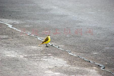民政局上班时间