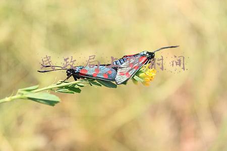 民政局上班时间