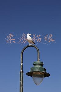 票房猫眼排行榜(春节档票房破49亿！水门桥21亿排名第一！这个杀手不太冷静破10亿)