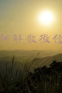 如何解散微信群大家都不知道(微信双端内测8.0.16，可以解散群聊了)