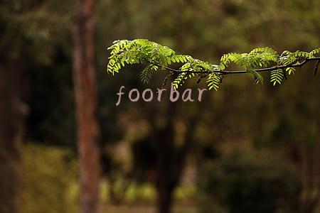 foorbar