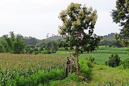 fps网游