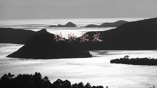 植物染发