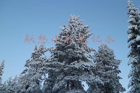 联想小新笔记本