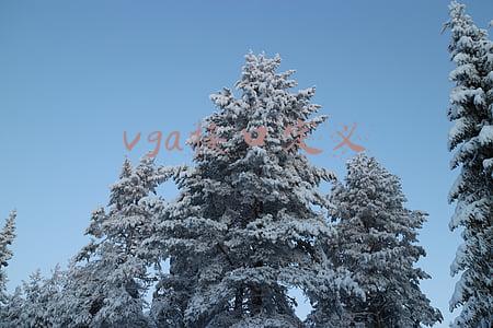 vga接口定义