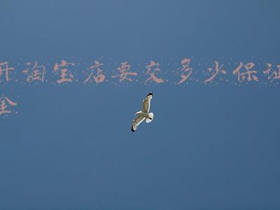 开淘宝店需要保证金吗《淘宝开网店需要交保证金吗？我是一件代发》