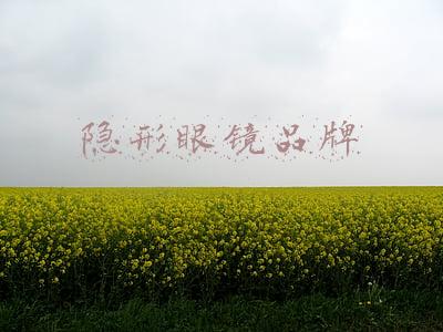 隐形眼镜品牌排行(新锐周报丨小罐膜品牌C咖登顶找货月榜TOP1/CoFANCY可糖上新透明隐形眼镜)