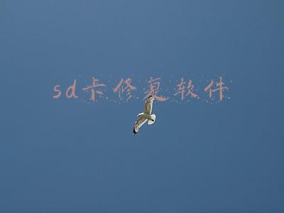 sd卡数据恢复软件(真实有效的SD卡照片恢复软件，不要浪费时间找其他的)