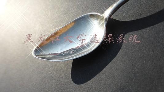 黑龙江大学选课系统