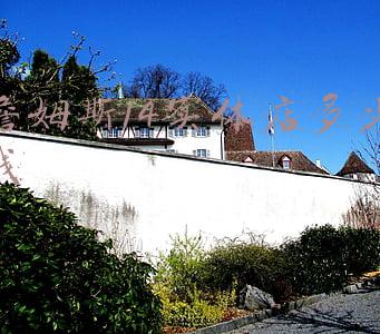 詹姆斯在湖人签了多少钱_詹姆斯多少钱