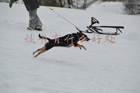 读书有什么好处