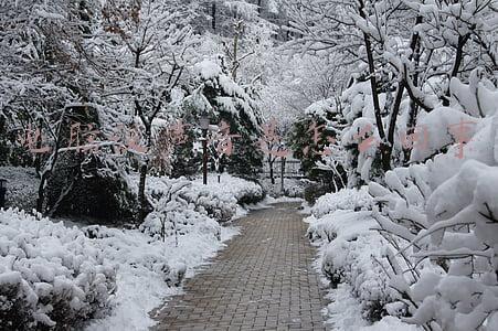 电脑没声音是怎么回事